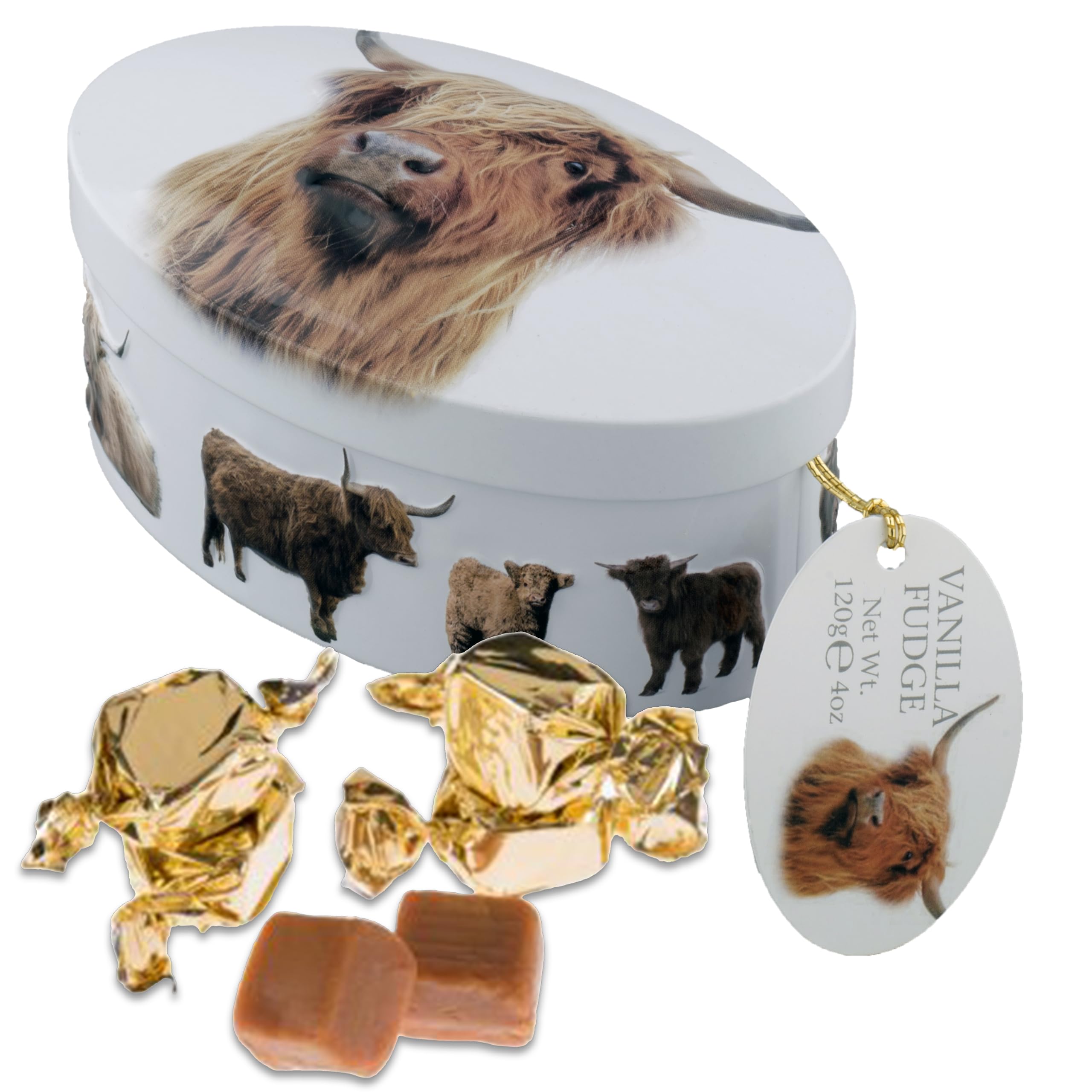 Amazon.com: Gardiners of Scotland Handmade Fudge, Highland Cow
